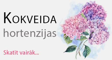 Kokveida hortenzijas