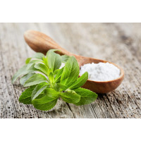 Stēvija  (Stevia rebaudiana)
